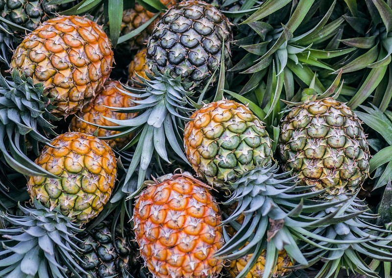 20233001_pineapple_unsplash